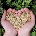 In der Community mit stärkender Herbstkur zu mehr Immunkraft