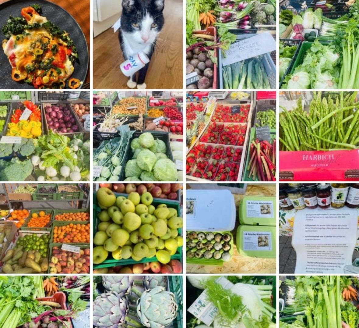 Frühlingsreiningung – In Balance kommen und aufblühen